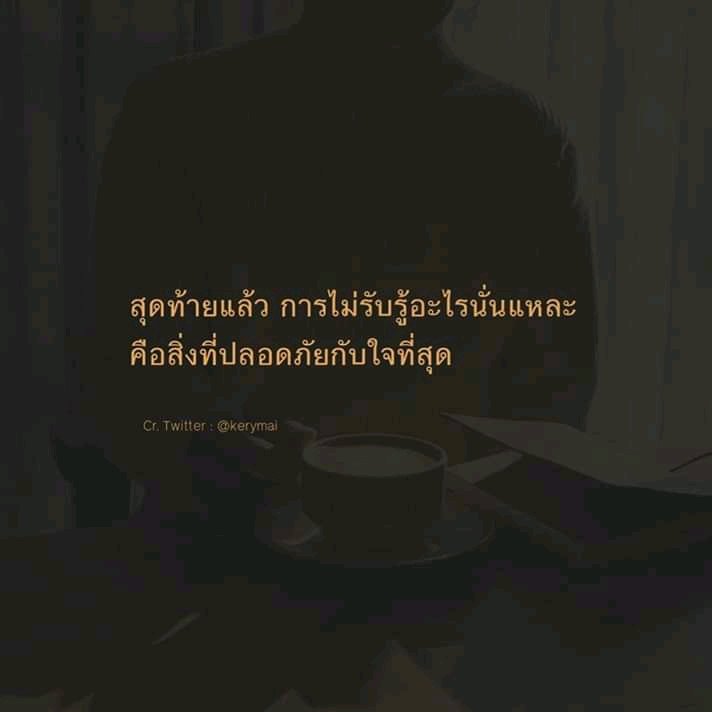 B tweet media