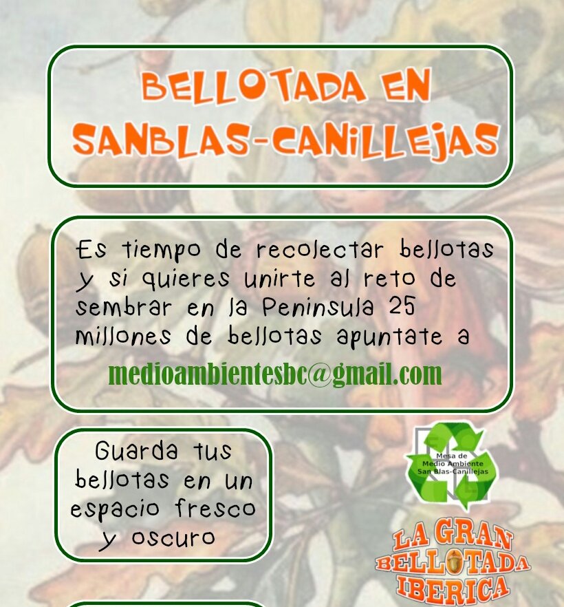 Os invitamos a colaborar en la #bellotada que realizaremos el próximo 15 de Diciembre de 11h a 14h en nuestro Distrito San Blas-Canillejas. Únete 🌱 Síguenos 😉
<a href="/AVPOLIGONOH/">AV POLIGONO H</a> <a href="/lasrosas_madrid/">Las Rosas Madrid</a> <a href="/AV_Musas_Rosas/">AV LasMusas LasRosas</a> <a href="/AVRejasMCB/">Asociación Mejora la Calidad del Barrio de Rejas</a> <a href="/bsalvadormadrid/">Barrio Salvador</a> <a href="/Canillejas_City/">Barrio_Canillejas</a>