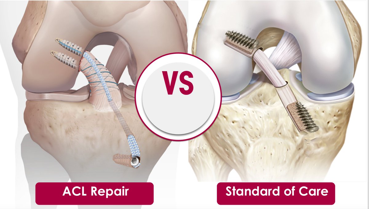 Dr Ignacio Dallo tweet media