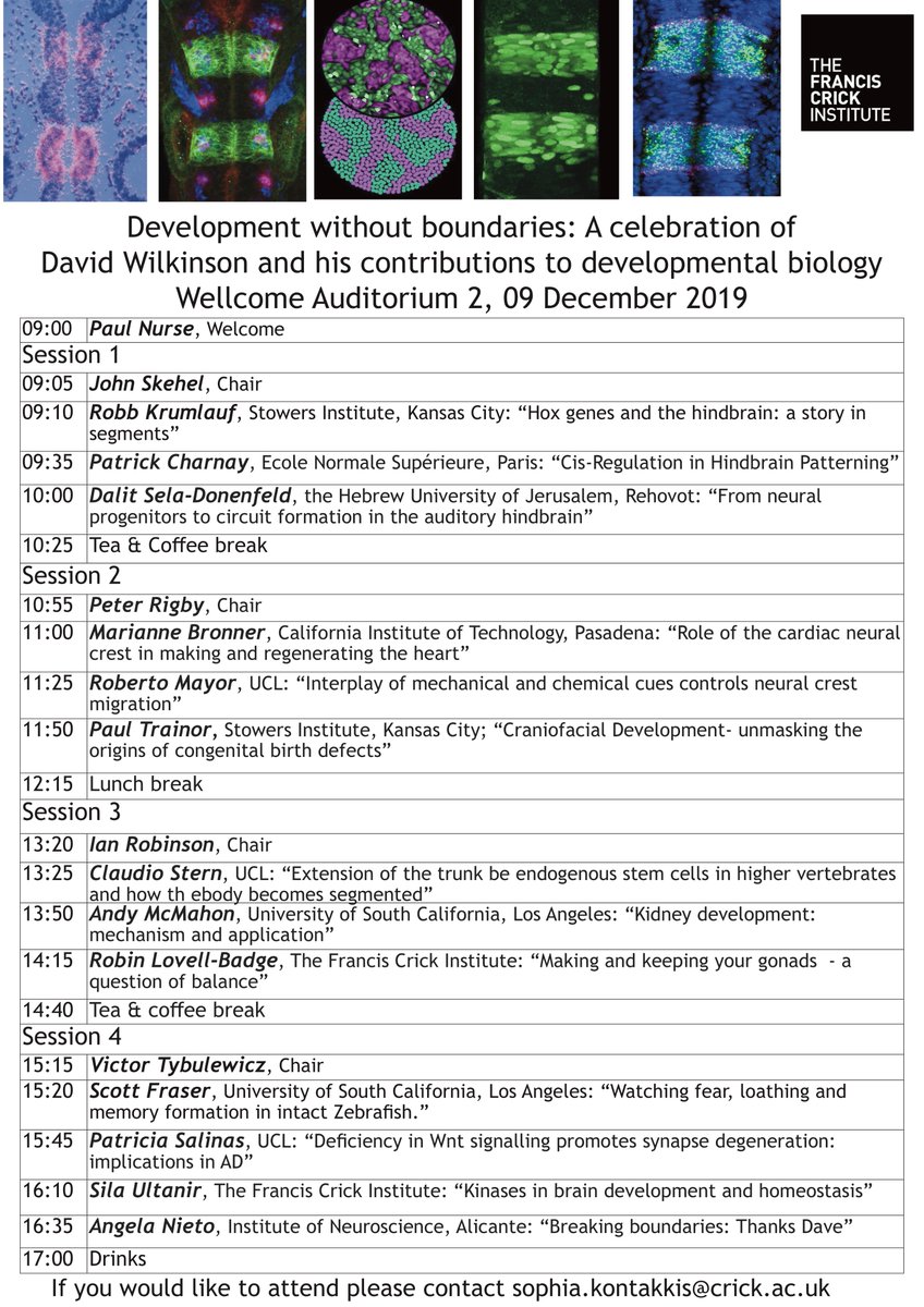 jordicayuso's tweet photo. I am really looking forward to this brilliant day of talks tomorrow @TheCrick to celebrate David Wilkinson's career and contributions, with delegates coming from all over the globe! #DevelopmentalBiology #Zebrafish #Eph #Ephrin @_BSDB_ https://t.co/TyG0cIrata