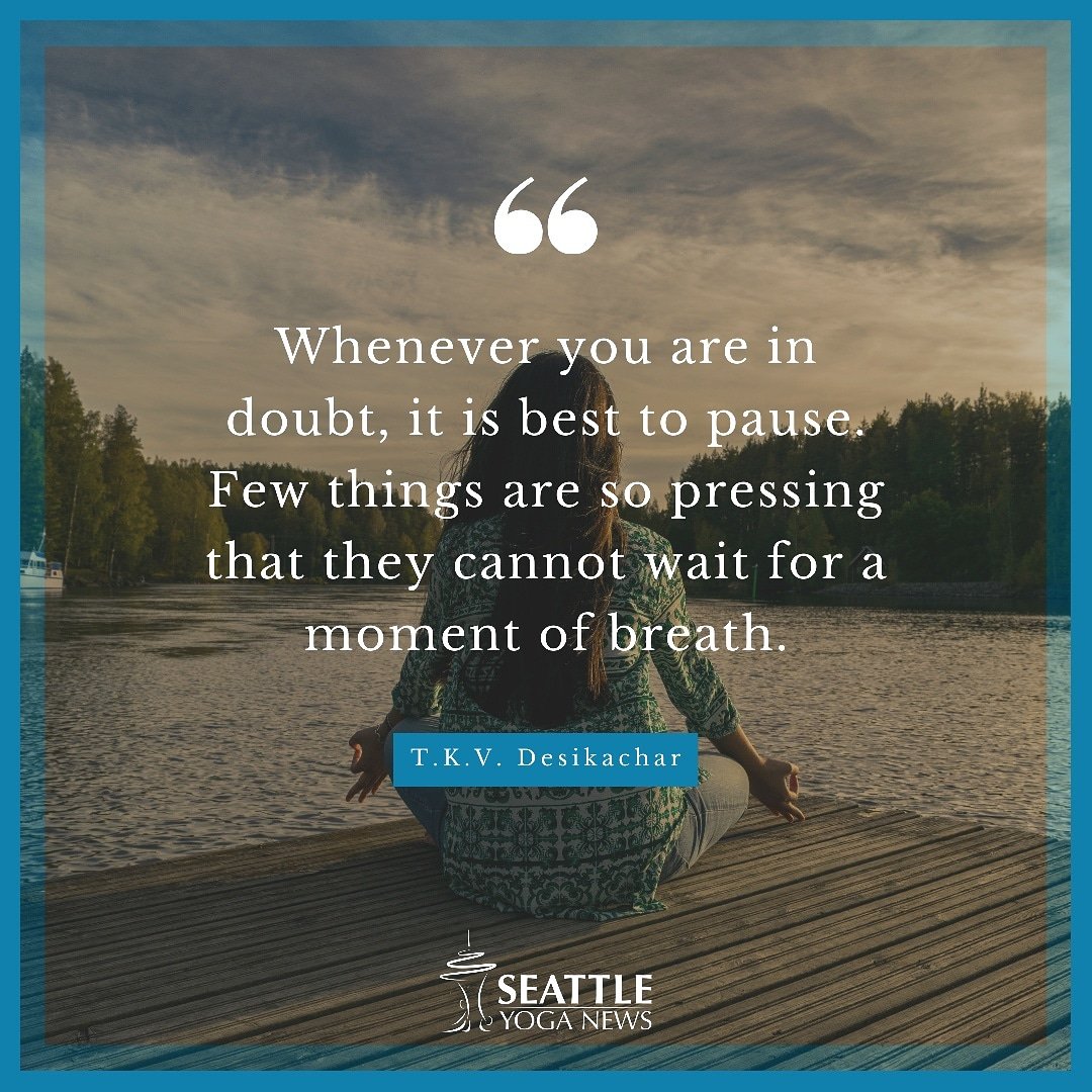 “Whenever you are in doubt, it is best to pause. Few things are so pressing that they cannot wait for a moment of breath." ― T.K.V. Desikachar🙏
#yogaquote #dedication #yoga #yogalife #yogafit #yogapractice #yogagram #yogainspiration #yogalife #yogadaily #yogaeveryday #meditation
