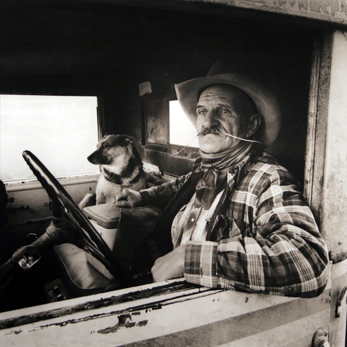 nevadaart's tweet photo. From solitary cowboys to communal gatherings, #AdamJahiel’s photographs depict the rhythms of daily cowboy life and the deep connection to horses and nature that the lifestyle elicits. Part of the #NevadaArt #WiegandWorkEthic Collection. #KnowTheCollection #ThisIsHowWeWork https://t.co/Sn9v60wM2D