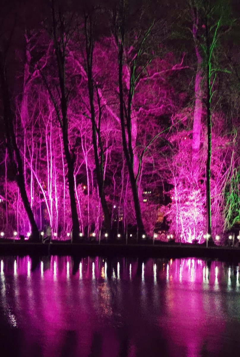 #enchantedwintergarden <a href="/ANBorough/">Antrim & Newtownabbey Borough Council</a>