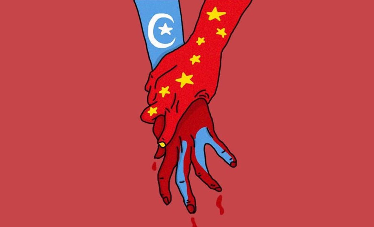 What is happening in China (a thread)