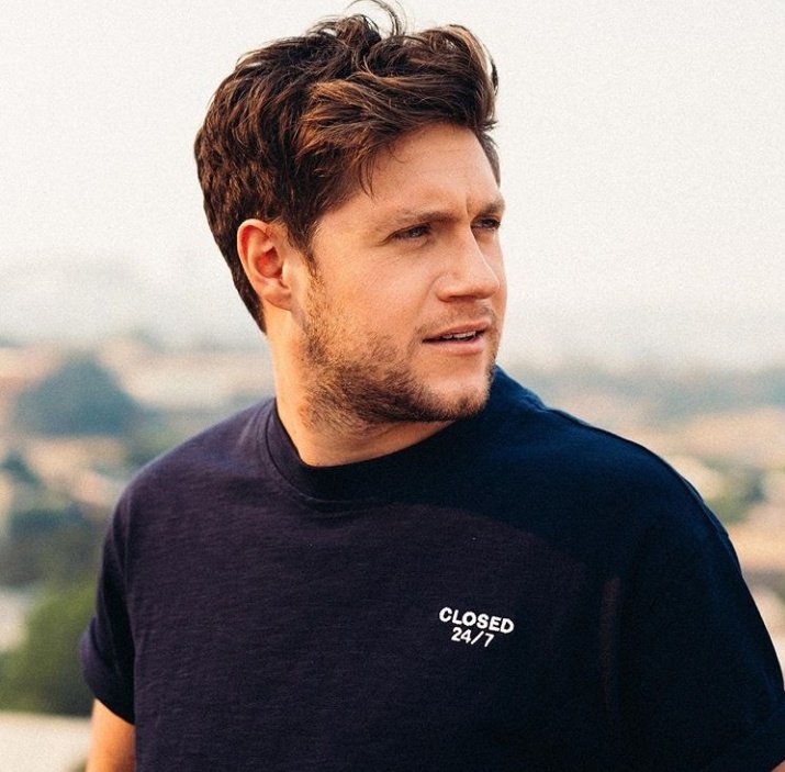 duhitsnialler's tweet photo. Niall Horan at the        Niall Horan at 
beginning                       the end 
of decade                  of decade https://t.co/cnAVGcNSHh