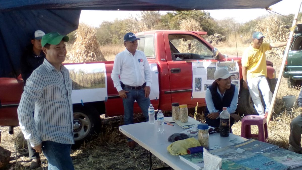 engtoextension's tweet photo. Compromisos del grupo de trabajo Cerro Blanco, con vista al siguiente ciclo agrícola 2020, en la presentación de resultados, del programa de #profesionalizaciónagropecuaria2019 en El Borrego, Valle de Santiago, Gto. @ACCIMMYT @MasAgroGto @SDAyR_GTO @pepegmichel https://t.co/6qNcXZQ0nD