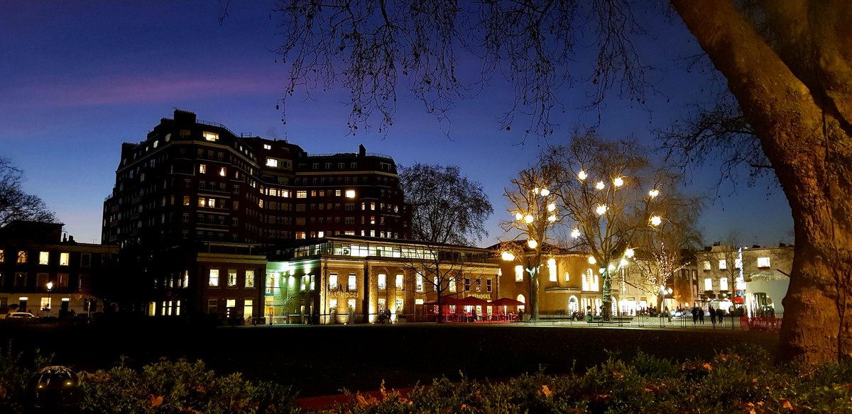 37DeeDee's tweet photo. Lovely view from the Saatchi gallery across Sloane Square, London 🇬🇧
@ThePhotoHour #ThePhotoHour 
@StormHour #StormHour 
#London #night #lights #tree #sloanesquare #chelsea https://t.co/gRLqgG5cSX