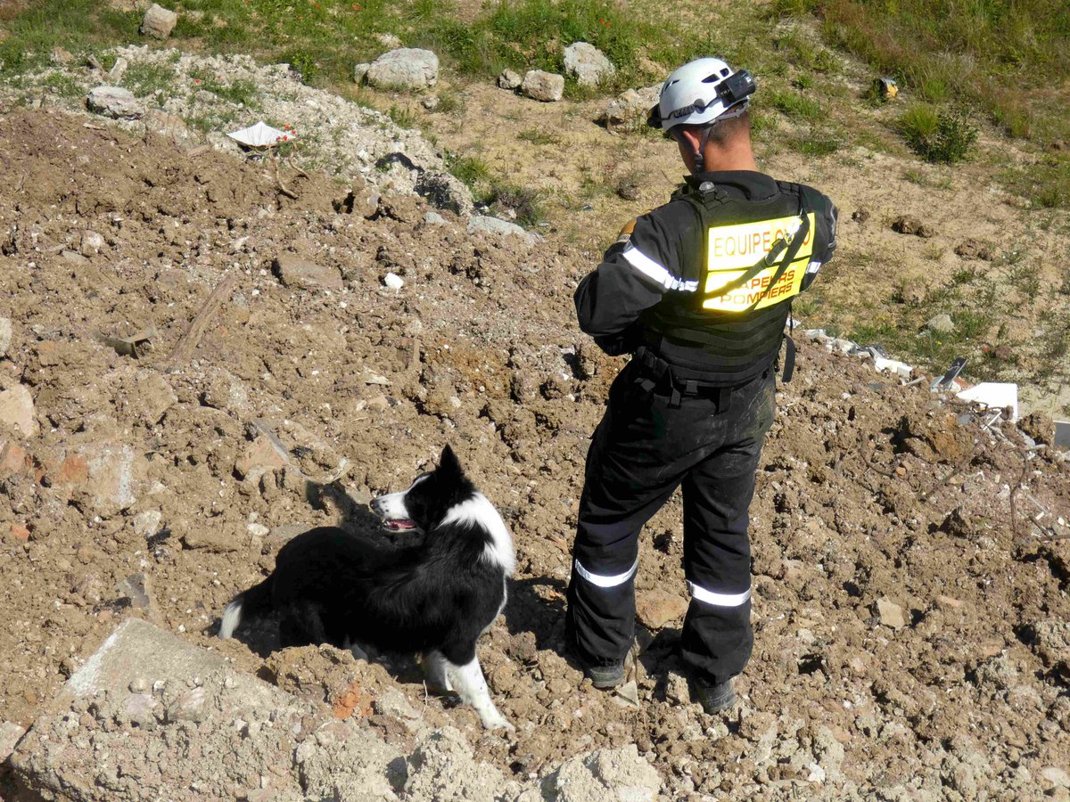 PompiersDuLot's tweet photo. L'équipe #CYNO46 des @PompiersDuLot
 compte depuis peu un nouveau membre #Bienvenue à #Oural, #bordercollie de 10 mois, qui rejoint #Etche sous la garde de l'ADC Cambefort ! 
https://t.co/SdLtHCT8aG https://t.co/SPkzVjRSEg