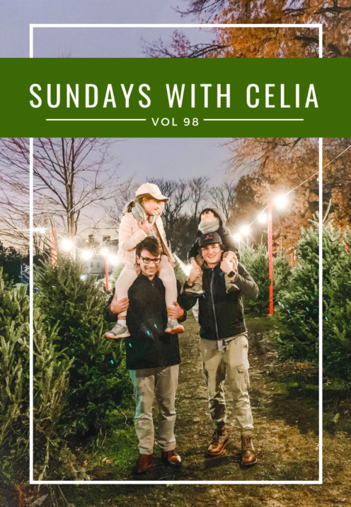 CeliaBecker's tweet photo. It's time for Sundays With Celia Vol 98. I've just returned from #DC where we celebrated #Thanksgiving. So in todays post I'm telling you all about it, sharing #recipes and #tabledecor, &amp; taking you with me to pick out a #Christmas tree. Join me #OnTheBlog https://t.co/79QubUN8h1 https://t.co/5whsYpU4WS