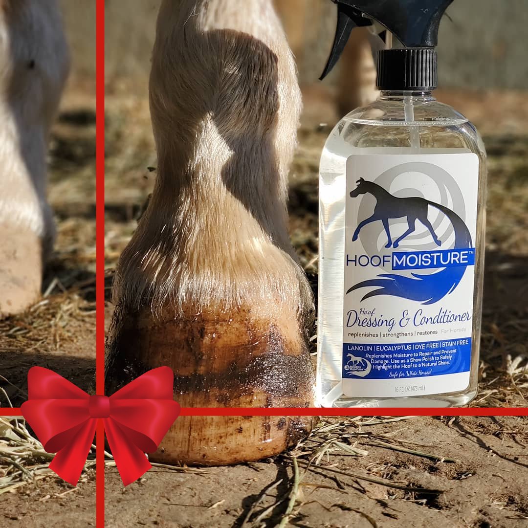 Day 8/24 -- Start from the ground up with <a href="/horse_grooming/">Healthy HairCare Products</a> Hoof Moisture Dressing &amp; Conditioner. Winter conditions are hard on hooves, but they don't have to be! 

Find a dealer near you at noble-canada.ca

#NobleCanada #HealthyHairCare #HorseProducts