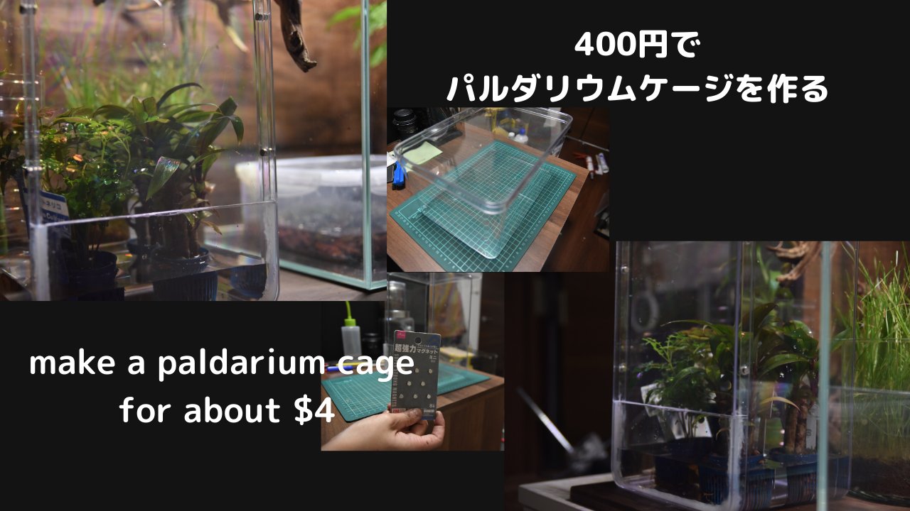 パルダケージ Twitter Search Twitter