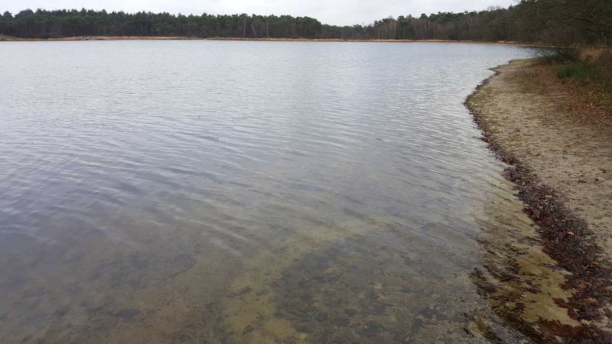 En dan ontdek je zomaar een prachtige oase, om de hoek tussen  Tilburg en Moergestel: het Galgeven. Wat een rust en natuurschoon! #mijnnatuurblijft