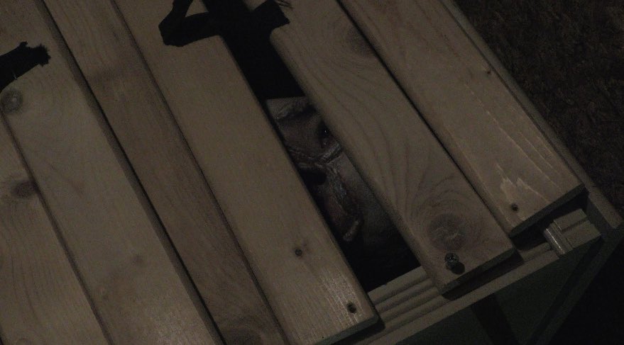 Scorpionkingct's tweet image. Had a blast filming Reflections in the cold weather for 7+ hours — kudos to the cast and crew. Some stills from yesterday from Wallingford, CT. #teamreflections #aliens #indiefilm