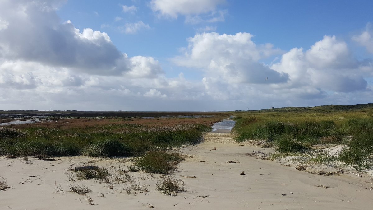 Werelderfgoed De Wadden. Onmisbare schakel in de voedselketen van vele soorten! En ook onmisbaar voor mij trouwens 😍 #mijnnatuurblijft