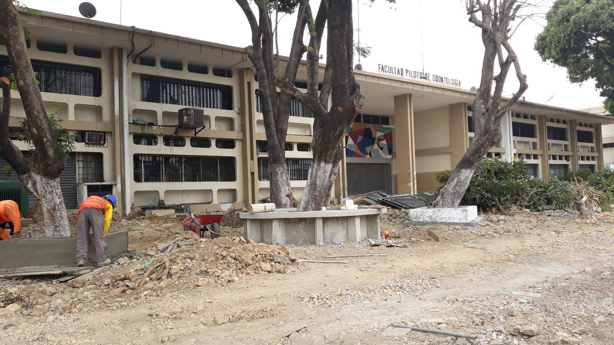 jorgond7's tweet photo. El #Proyectodelta contempla la construcción de aceras, área de ciclovía, un paso peatonal, plazoletas, pérgolas. Respetando la vegetacion existente a los alrededores de los arboles de mango y acacias se colocará mobiliario urbano mientras que las palmeras seran reubicadas @Ivmo0 https://t.co/BGGz2XSpzv