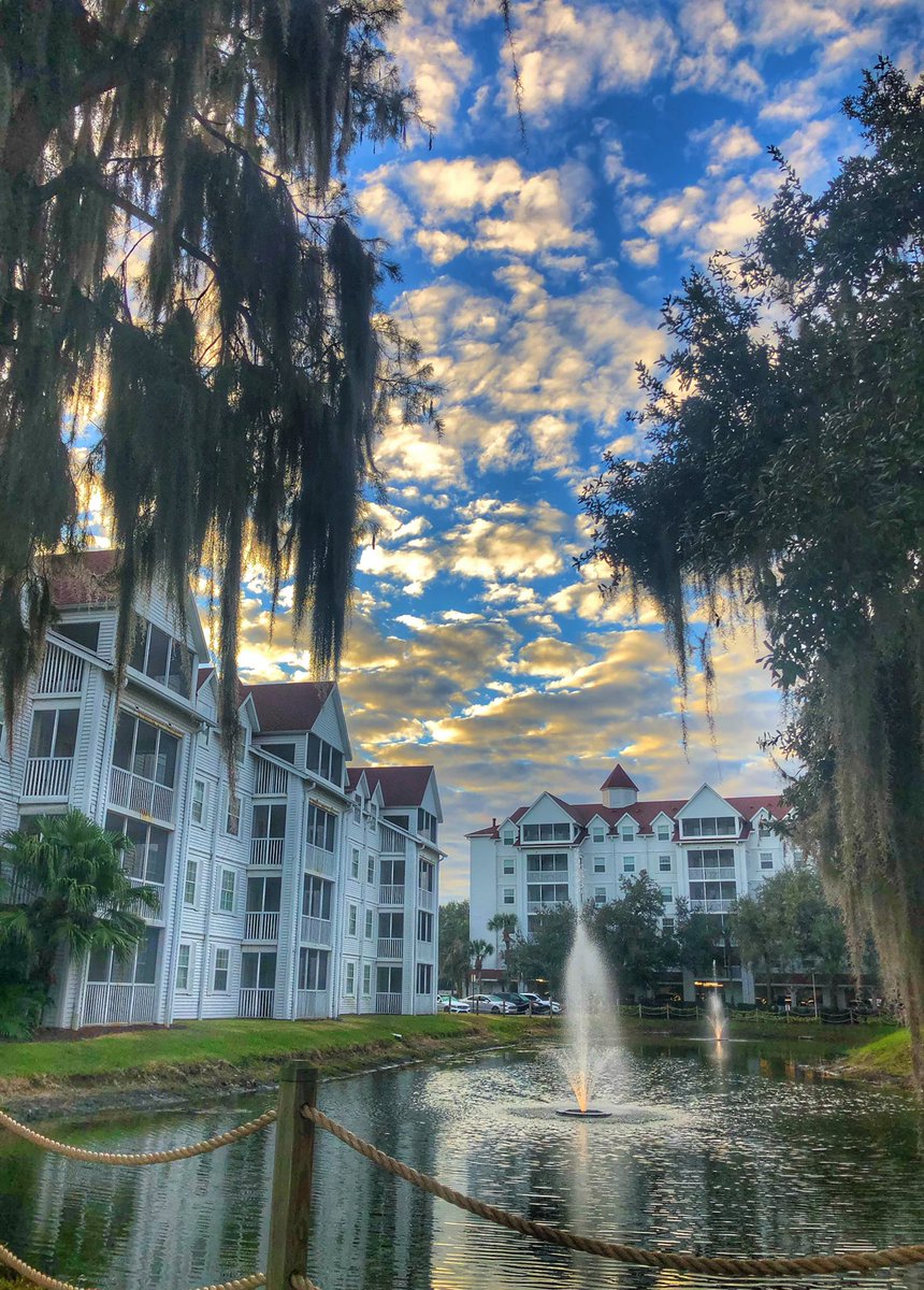 Light Enterprises tweet media