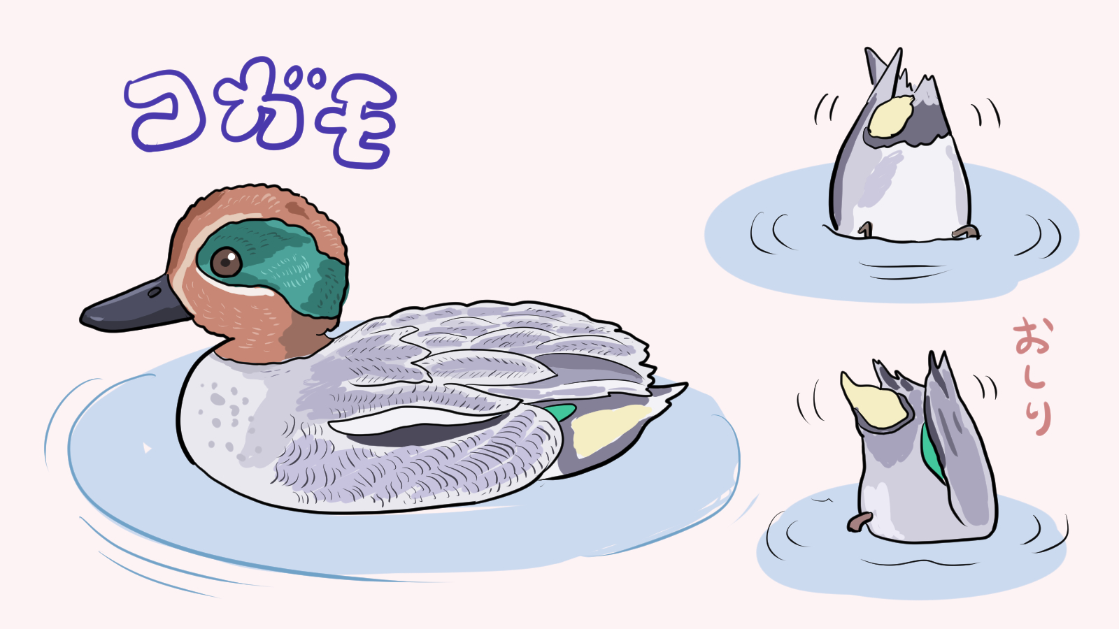 ぬまがさワタリ ゆかいないきもの超図鑑 3 8発売 最近 近所の池にコガモが来ている 子どものカモ ではなくコガモという種 頭の緑色の模様がオシャレなカモだが 水中の餌を逆立ちして食べるのに忙しく おしりが見えている時間の方が長い ぬまがさワタリ ゆかいないきもの超図鑑 3 8発売 最近 近所の池にコガモが来ている 子どものカモ ではなくコガモという種 頭の緑色の模様がオシャレなカモだが 水中の餌を逆立ちして食べるのに忙しく おしりが見えている時間の方が長い