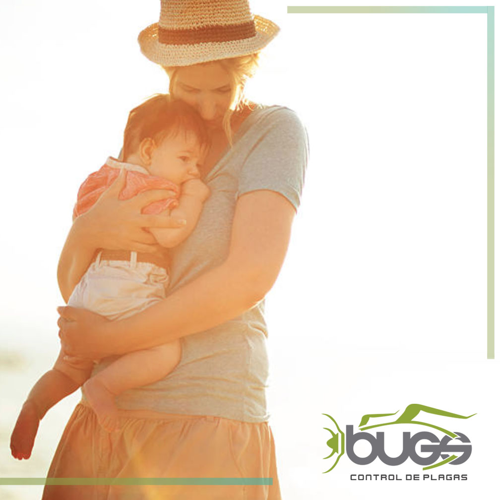 BUGS CONTROL DE PLAGAS (@BugsPanama) / Posts / X