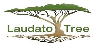 MtMercyAcademy's tweet photo. Mercy is selling Trees to support the Laudato Tree project, a collaborative effort of Mercy schools, to support the Green Great Wall. They make a great Christmas gift and $10 will purchase a tree. Trees may be purchased in the school office or by sending a check to the office. https://t.co/7tB7zGJPBD