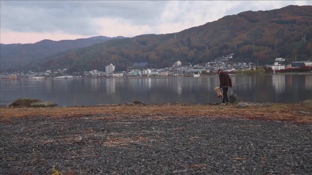 3CatInfoelTemps's tweet photo. 🆘🌍 L'escalfament global al llac #Suwa del Japó ▶ https://t.co/0CyyC8SMIe El fenomen de l'"#Omiwatari", documentat pels monjos del santuari de Yatsurugi des de fa 600 anys, esdevé cada vegada més excepcional #Nagano #324eltemps @eltempsTV3 #crisiclimàtica https://t.co/1VFyHYX0vB