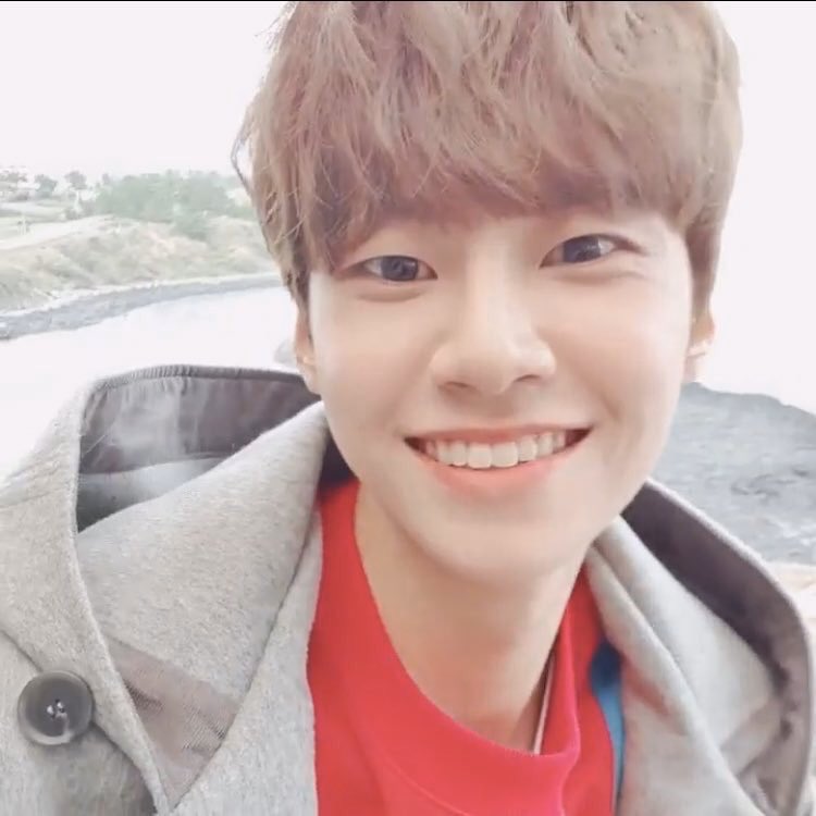 June8th1996's tweet photo. 오션뷰                                      시티뷰
    
마운틴뷰                                   이진혁알라뷰 https://t.co/B969KeYxSq