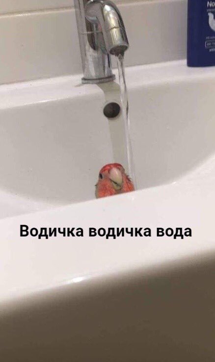 Но бежит вода на помощь