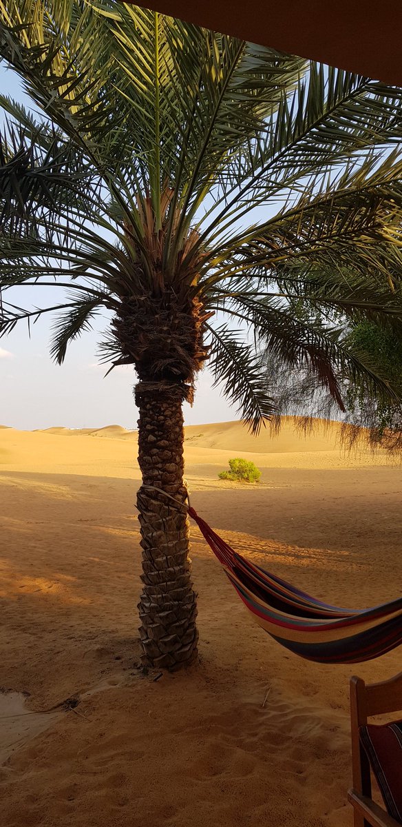 ludovic_pouille's tweet photo. In #AlAin at the end of the very fruitful Embassy seminar in the #Telal resort, relaxation and sport for all the colleagues, at the heart of the dunes. #FranceUAE 🇦🇪🇫🇷💜🌴 https://t.co/cmVNgK0DgS