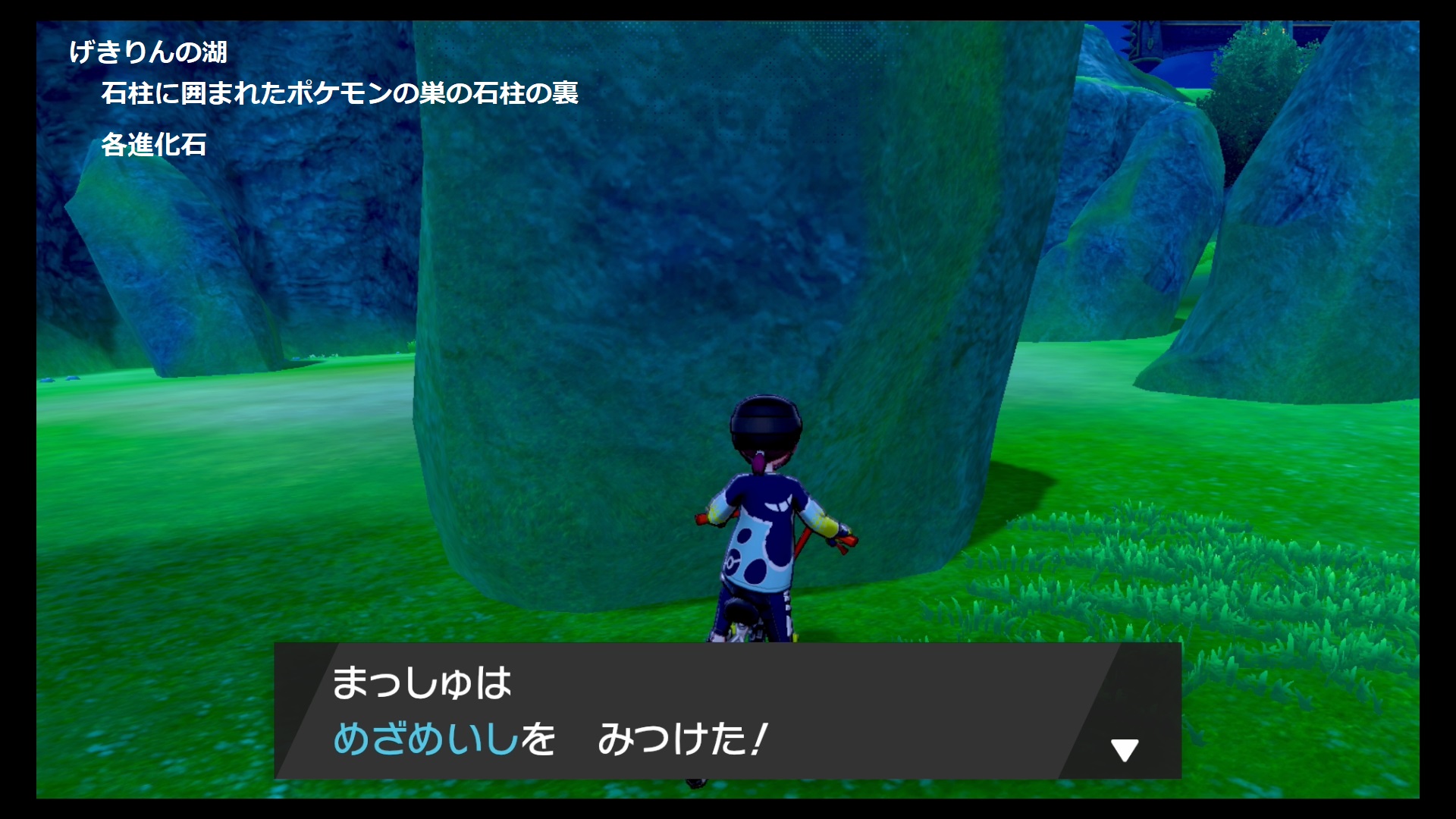 まっしゅ ポケモン剣盾ワイルドエリアで復活する進化アイテムで知っているものをわかりやすくまとめてみました カジッチュりんご 進化石 するどいツメ きれいなウロコの位置 他の希少アイテムの収集場所ご存じの方いたら教えていただけると幸いです