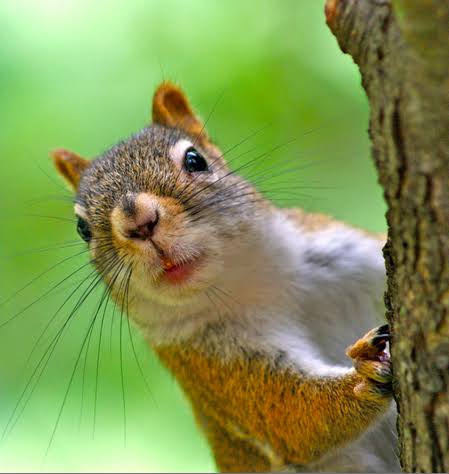 Ben bir fark göremiyorum sjdjskdkekdksk