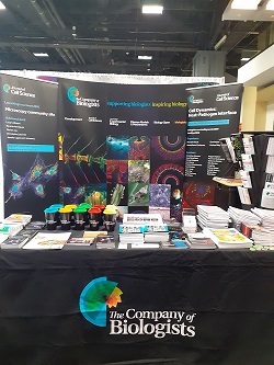 J_Cell_Sci's tweet image. All set up for #ASCBEMBO2019. Stop by Booth 1000 to have a chat and pick up some goodies, including mugs, notebooks, pens and more!