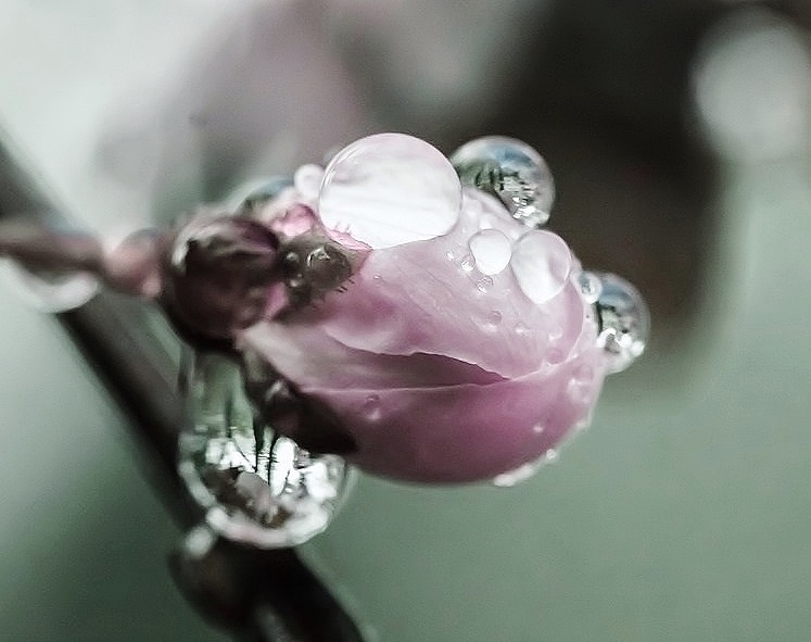 Good Morning Twitterverse.
I hope today brings you hugs and puppies.
✨🌸🌻🌷🦋😊😇😊🦋🌷🌻🌸✨