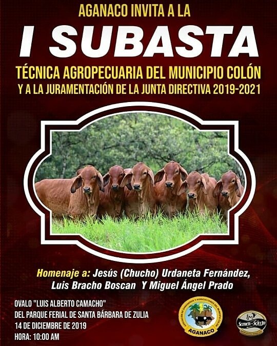 moranjomar's tweet photo. #Subasta en el municipio Colón #SantaBarbaraDelZulia. Invita @aganaco2017

#IndicadorGanadero #EventoGanadero https://t.co/0UxPJVGk2v