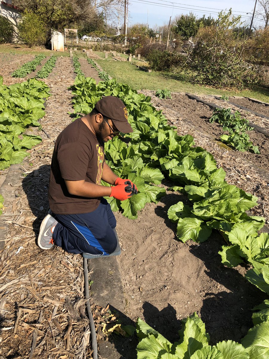 tsuiotas's tweet photo. This morning, Bro. Stanley (@mark_a_510) headed out to the Farmer’s Street Garden to assist with revitalizing garden beds.This garden is a byproduct of @habitatforhumanity and the produce is not sold but freely given to the elderly and families in need. @ipt1963 #IPT1963 https://t.co/Tb30a2q8Z6