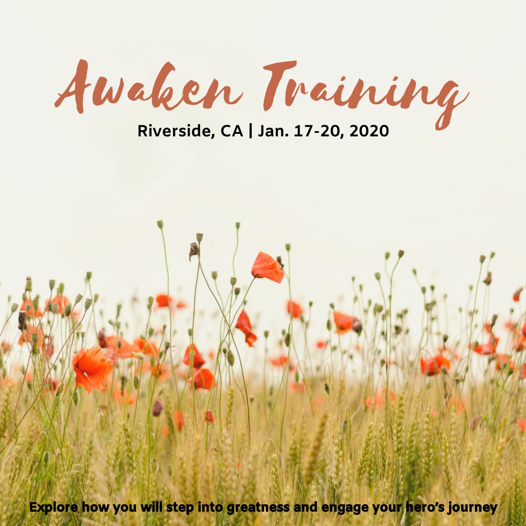 The early bird rate for Awaken in Riverside, CA, ends in one week. What would it take for you to step into greatness and engage your hero’s journey? #bethemoment #feedyourhero #forgiveorforsake #levelup gapcommunity.com/awaken-riversi…