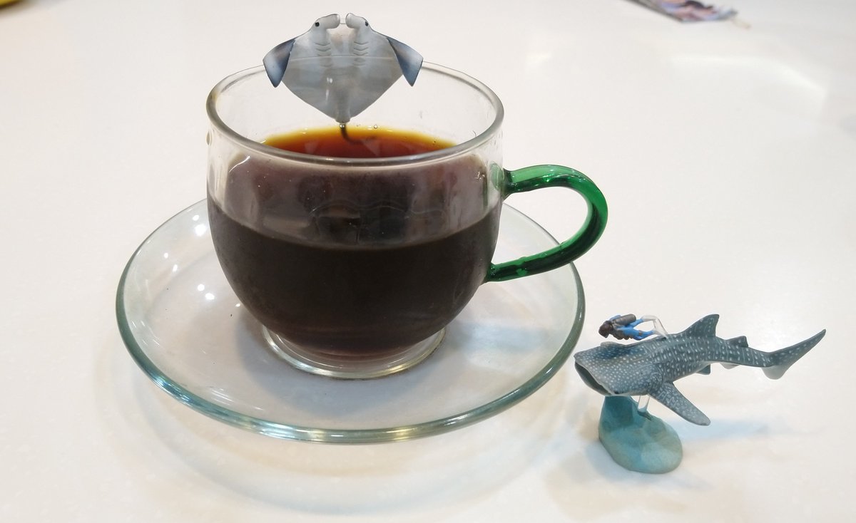 SorwinC's tweet photo. 祈禱一下明年帛琉行程順利

#IceDripCoffee #冰滴咖啡 
#Manta  #WhaleShark
#マンタ   #ジンベエザメ https://t.co/LhpQ6UMr1c