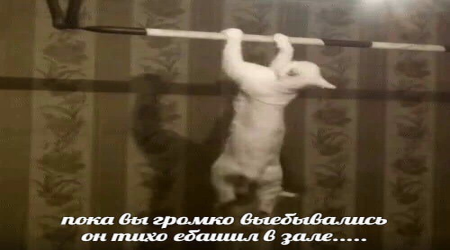 ELR_CLRXUAIZWeh?format=png&name=medium