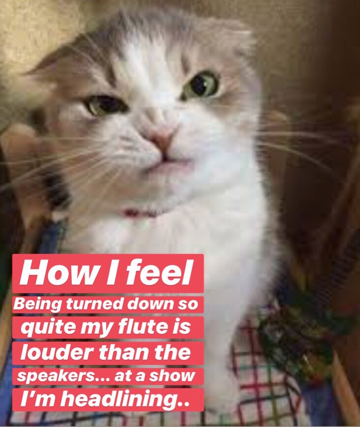 RusS LiQuiD ‼️👾‼️ tweet media