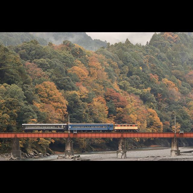 B9 861 Twitter Search