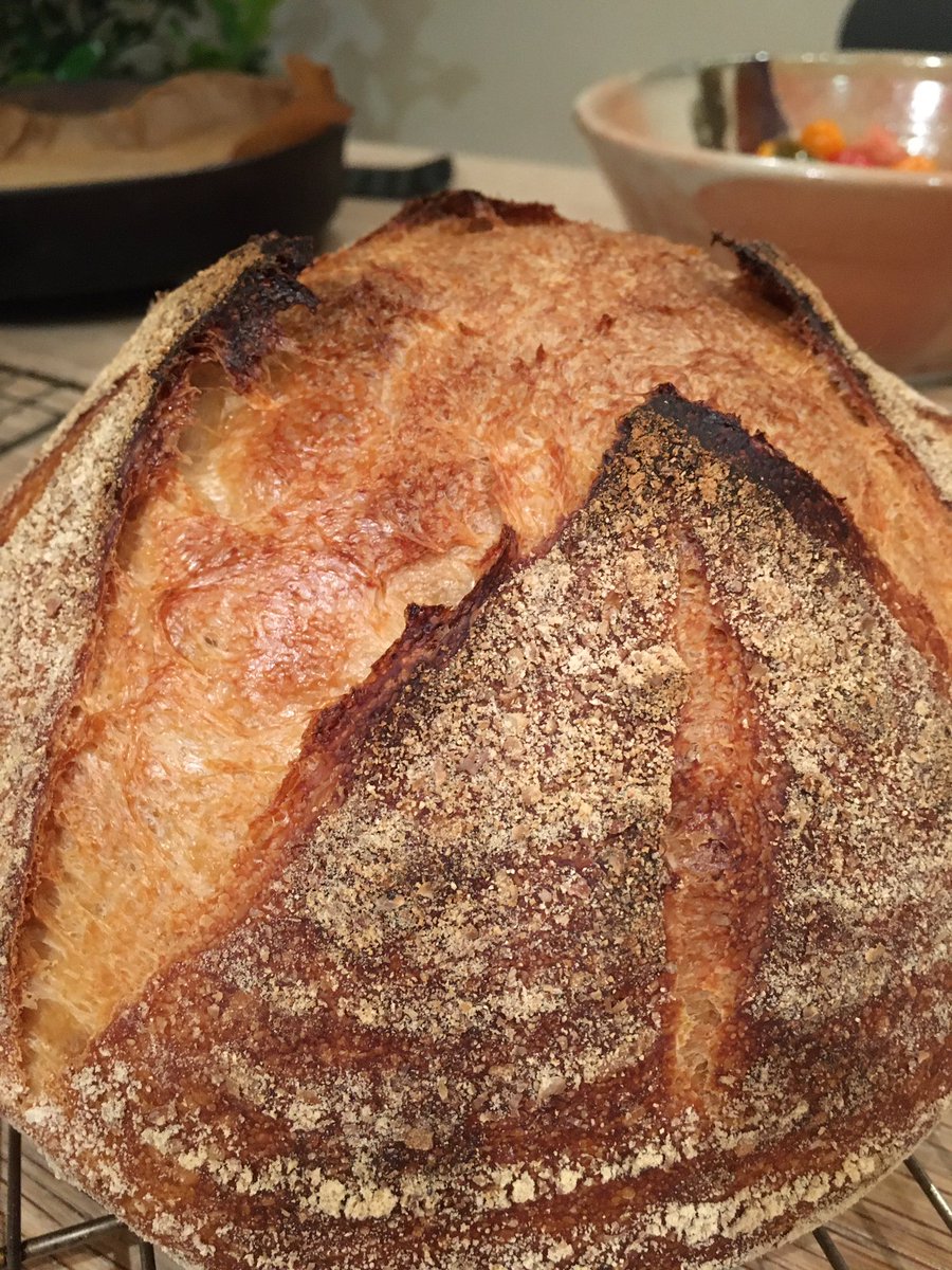 Breadcompanion's tweet photo. The magic of sourdough you never quite know how it’ll turn out. Big rise on this one @RealBread https://t.co/sfxgvLINUH