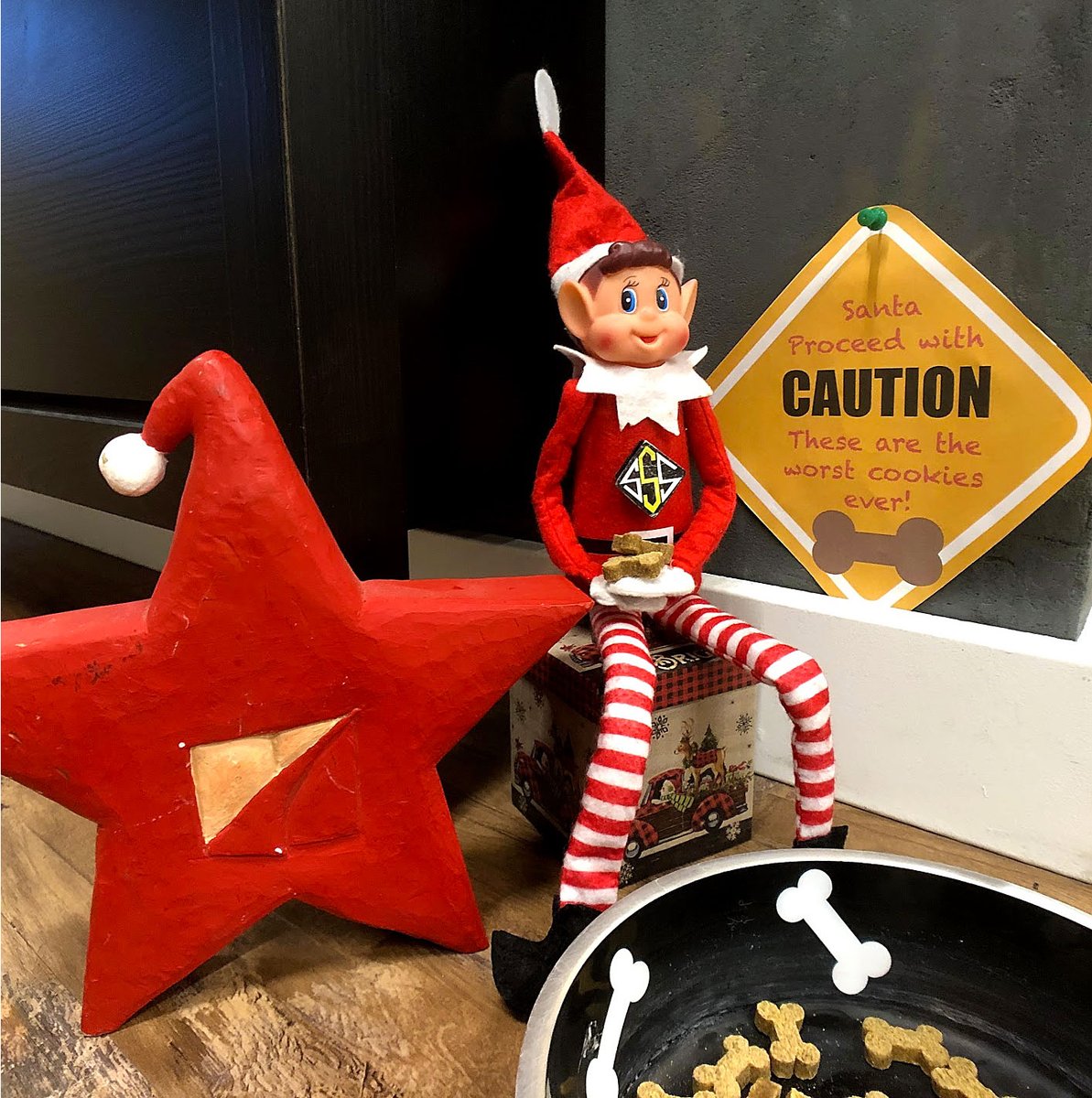 E2_Solar's tweet photo. Smalls the solar scout has noticed a sharp increase in Christmas spirit ever since his arrival at E2 Solar, however upon further inspection he fears the crew still has a long way to go.  These most definitely are the worst cookies he has ever tasted! #solarscoutelf https://t.co/gsEZDureoJ