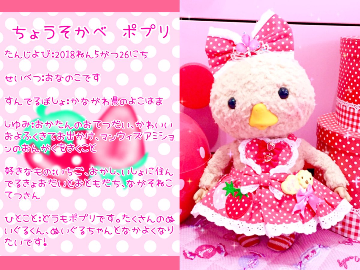 cskbppr's tweet photo. 我が家のぬいぐるくんズのプロフ再投稿＋コテツのプロフ追加🙌💕

みんなポプリたちのことおぼえてくださいね！😋👍💕 🐤ポプリより🍓
#東京トガリ
#ぬいぐるくん 
#ぬいぐるちゃん
#ブラブラくん
#ぬいぐるくんプロフ https://t.co/beyYs9cPOF