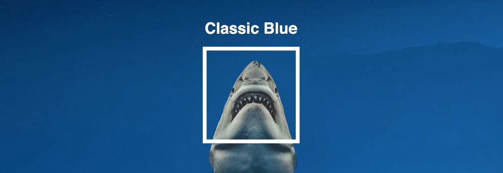 colourverse_uk's tweet photo. The Pantone 2020 Color of the Year is a dose of chromatic calm for our frazzled, Trump-era, Brexit-approaching, climate-crisis times but it does remind me a certain movie...
https://t.co/9Gr5fV5Ca9 https://t.co/5oPbomy4y0