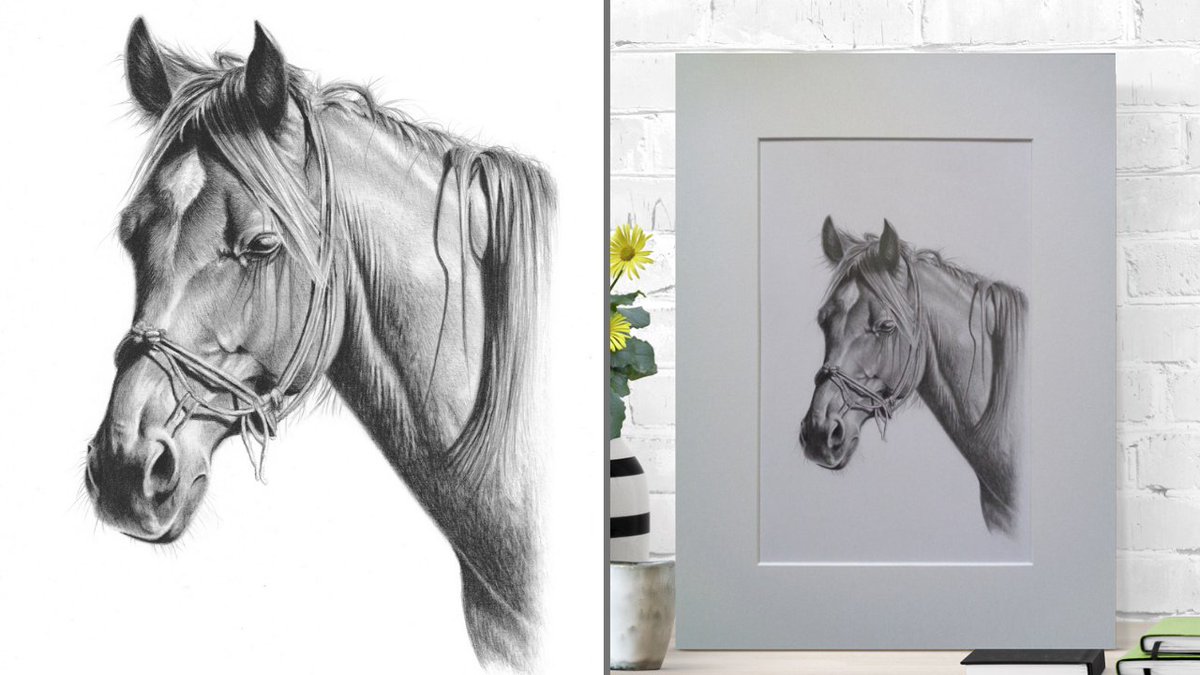 New graphite drawing of a horse. This original work of art is for sale in my Etsy store etsy.com/uk/listing/759… or my website richardmacwee.com/store/p30/penc…  #horse #artforsale #horsedrawing #horseportrait #equineart #etsy #etsyshop