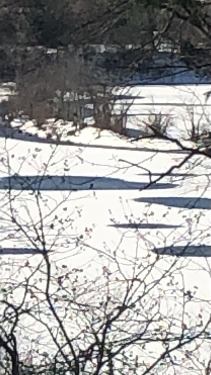 Westwood Fire tweet media