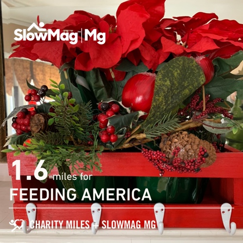bethdsew's tweet photo. 1.6 @CharityMiles for @FeedingAmerica. Thx #SlowMag for sponsoring me. https://t.co/wLIQMWuZji