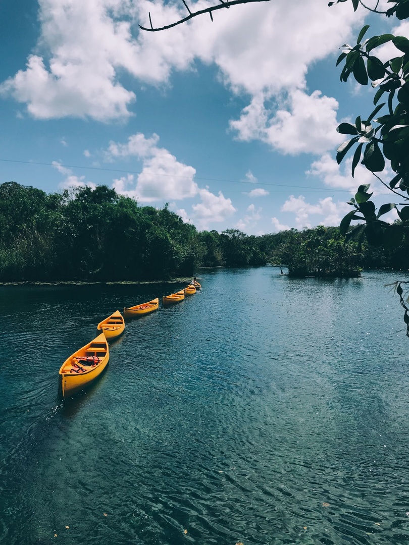 UNICO 20°87° tweet media