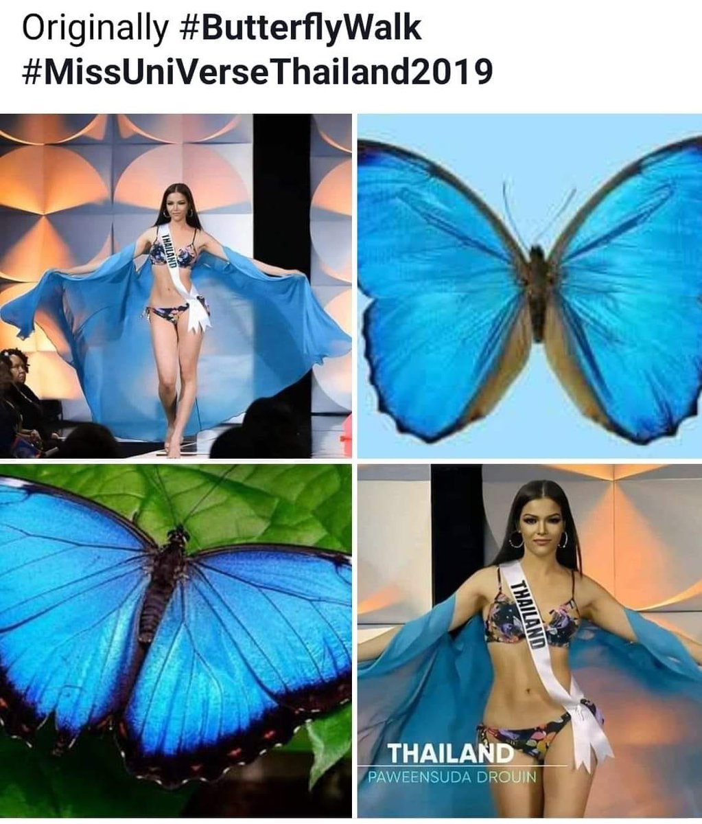 Supanat42's tweet photo. ช่วยทวิตและรีทวิตให้น้อง เป็นกำลังใจก่อ��น้องไฟนอลพรุ่งนี้ กองต้องการกระแส เราต้องปั่นกระแสค่ะ 

#Thailand #MissUniverse2019
#MissUniverseThailand2019
รีเลยค่ะ ครั้งนี้พิมเอง ถูกแน่นอน https://t.co/Bp2BdInbPD
