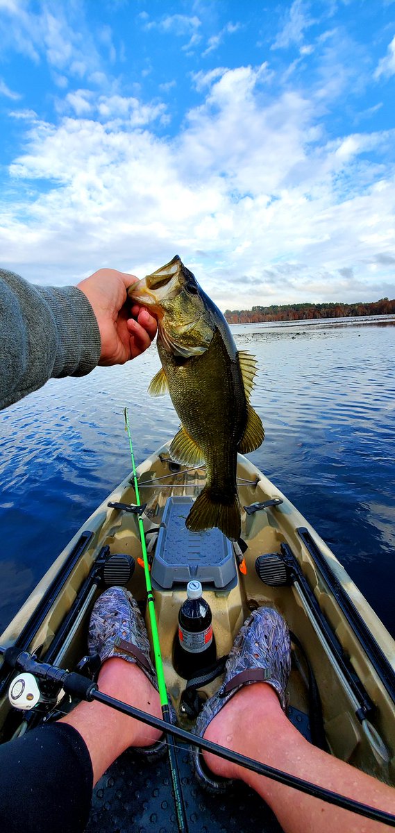 Topwater and nice backdrop.   Happy Sunday.  
#3waterskayaks 
#lewsfishing
#lews
#zoom 
#bassfishing