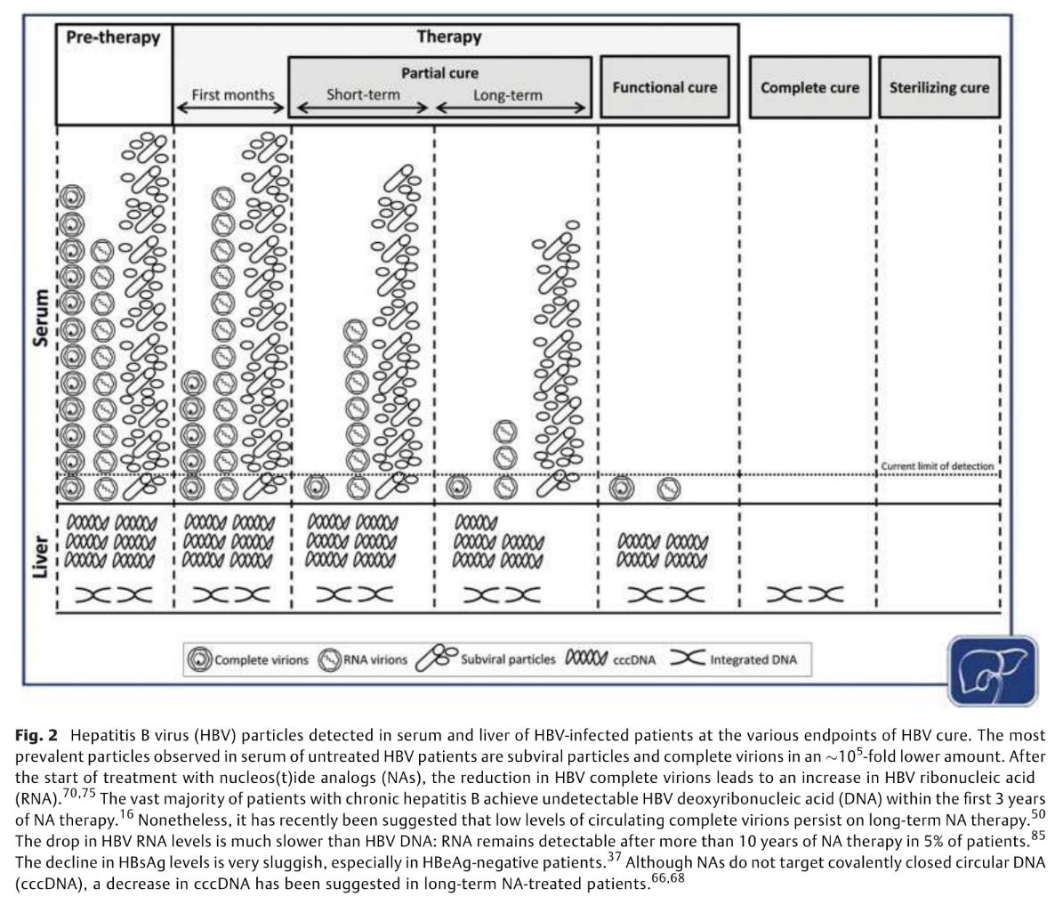 HenryEChang's tweet photo. A must-read @SeminLiverDis review article on current evidence about how to use viral #biomarkers to guide functional cure of chronic #HBV &amp; their potential role in association with new #HepB drugs→https://t.co/s3rzhRY7zD @Mariabutif @mar_riveiro @TaberneroDavid @vallhebron https://t.co/KvHaHRKt5f
