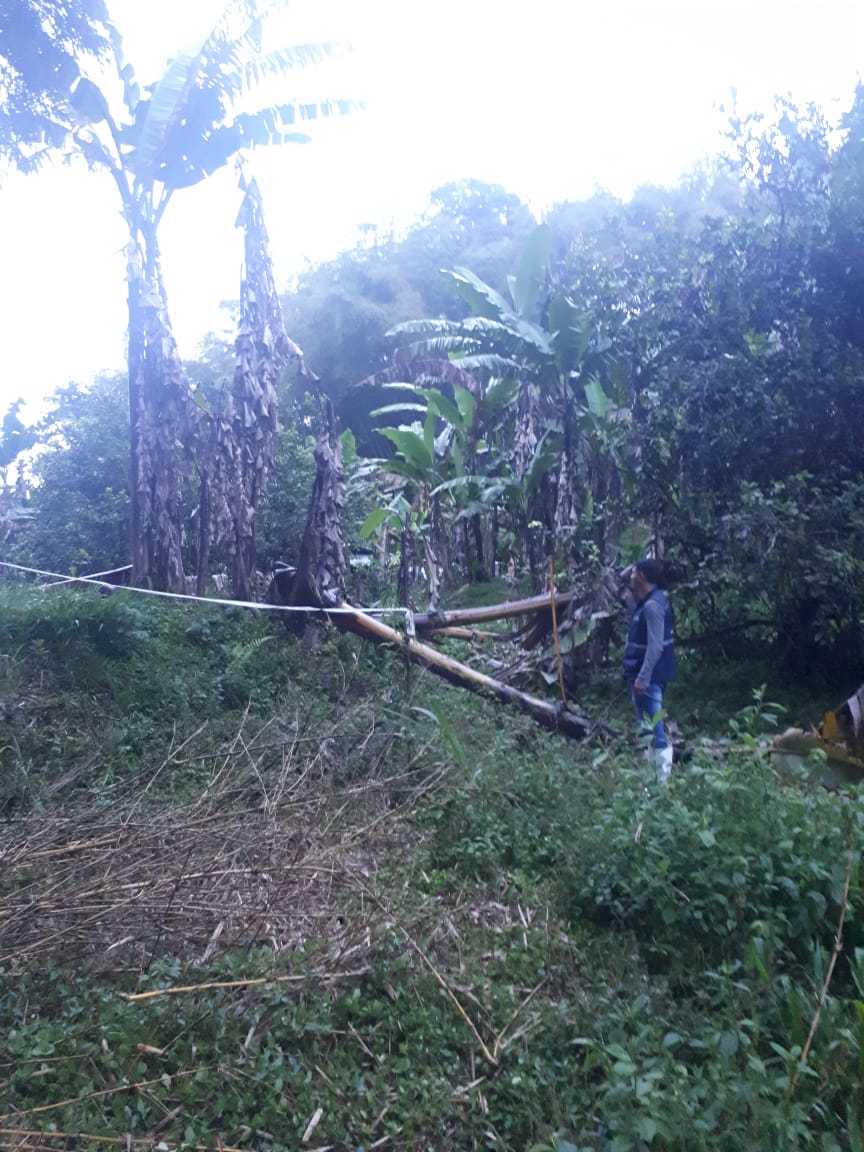 AgrocalidadZ1's tweet photo. #Carchi | #Agrocalidad realizó monitoreo de musáceas a fincas en el sector de El Chical #AgroProtegido🇪🇨 https://t.co/lBqUHwWQ6j